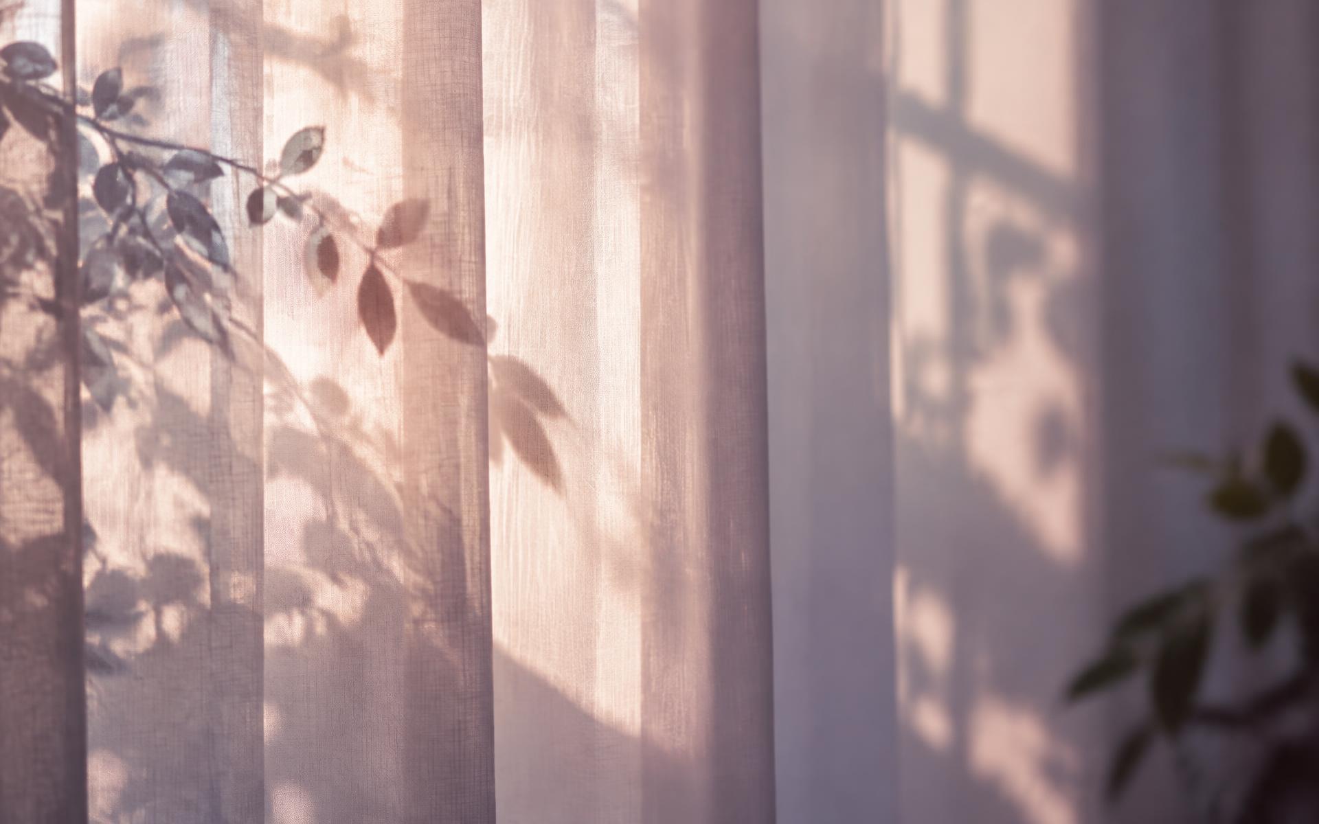 Soft morning light and leafy shadows across sheer curtains